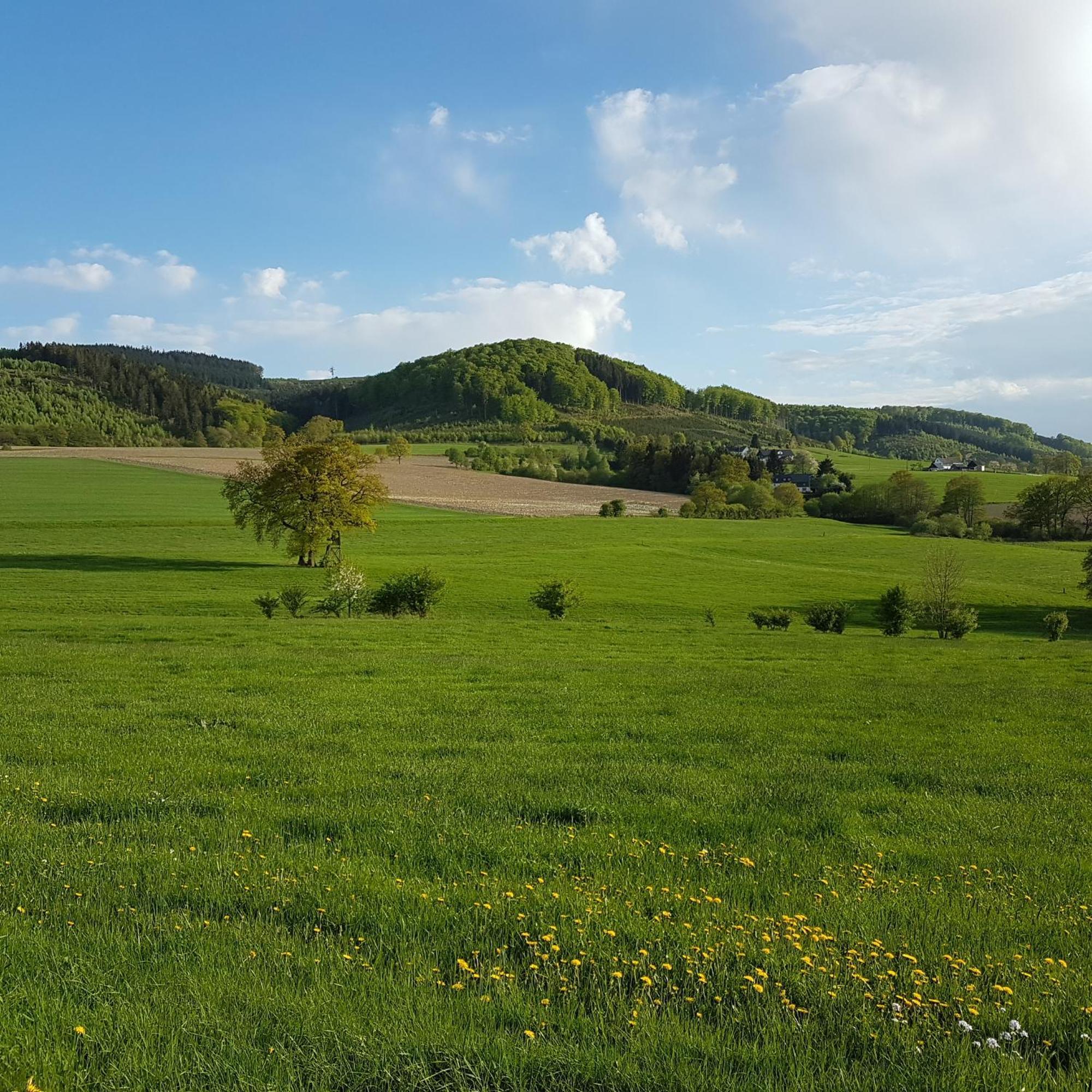 Freundliche Unterkunft Sauerland Meschede Eksteriør bilde